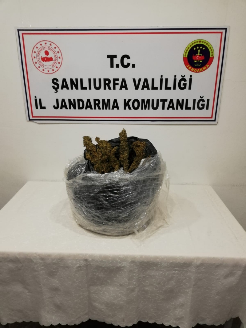 1. Şanlıurfa İl J.K.lığı KOM Şube Müdürlüğü 