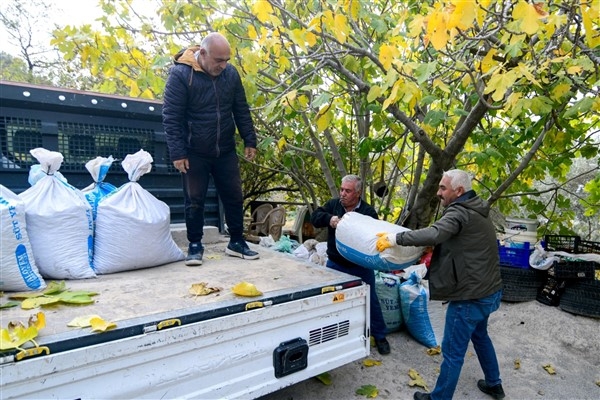 Bornova’da zeytin üreticilerine lojistik destek
