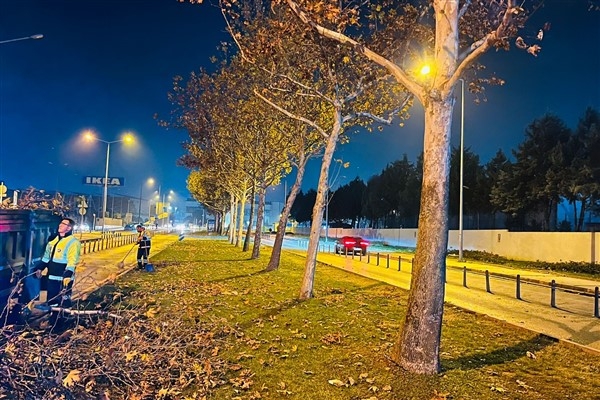 Bursa'da ağaçlara da kış bakımı yapılmaya başlandı