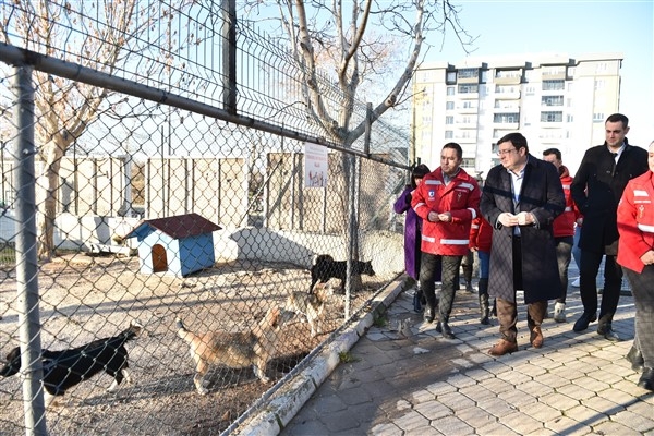 Başkan Erkek, Sokak Hayvanları Bakım ve Rehabilitasyon Merkezi'ni ziyaret etti