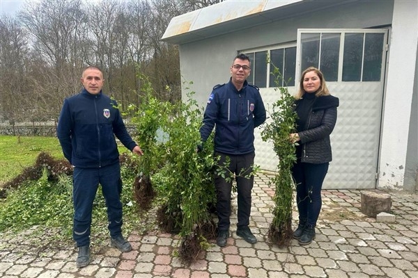 &Prime;Samsun Tarımında Yeşil Yoldan Yeşil Bahçelere Projesi” hayata geçirildi