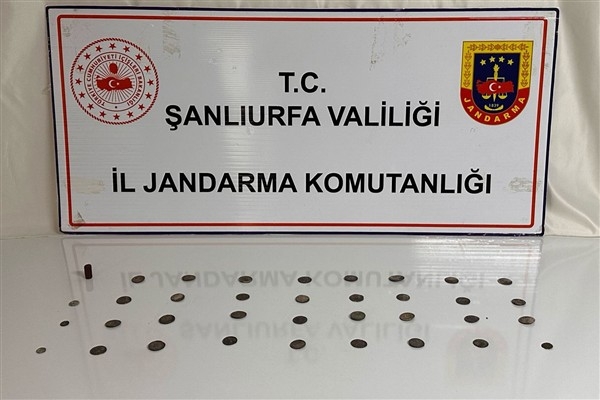 Siverek’te tarihi eser operasyonu