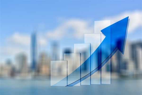 TGS Dış Ticaret'te denetçi seçimi
