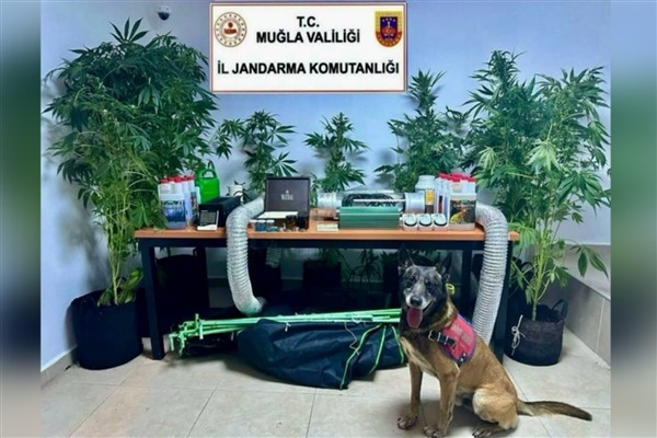 Bodrum'da uyuşturucu operasyonu