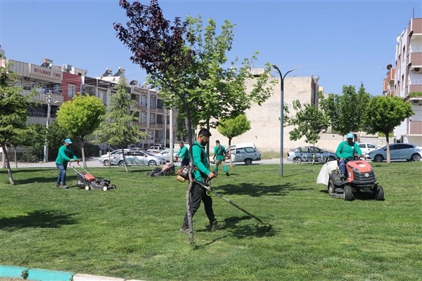 Haliliye'de parkları yaz mevsimine hazırlıyor