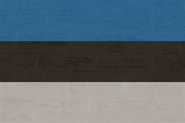 Estonya Dışişleri Bakanlığı, Rusya'nın Maslahatgüzarını çağırdı