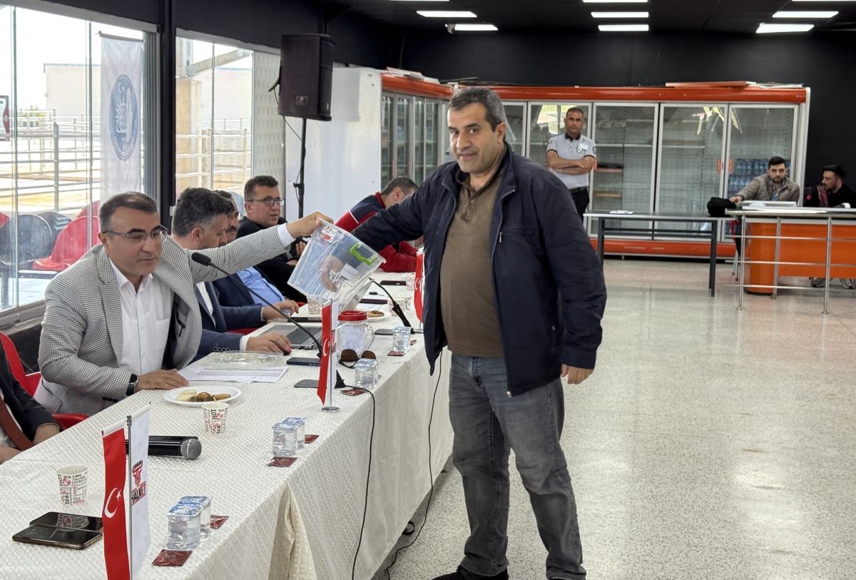 Çorum'da kurbanlık satışın yerleri kura ile belirlendi
