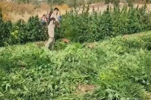 Diyarbakır'da uyuşturucu operasyonu
