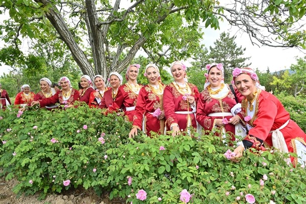 Güneykent'te gül hasadı yapıldı
