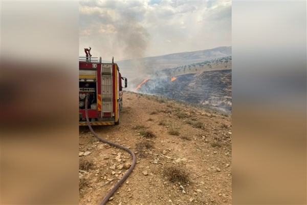 Birecik'te orman yangını