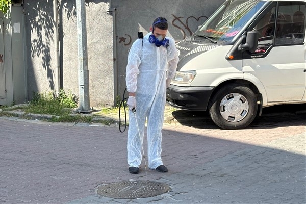 Kağıthane'de haşere ve sineklerle mücadele çalışmaları