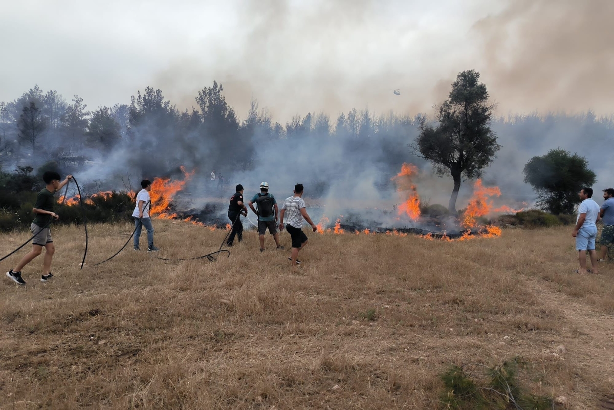 Muğla Büyükşehir ekipleri 6 ayda 380 anız yangınına müdahale etti