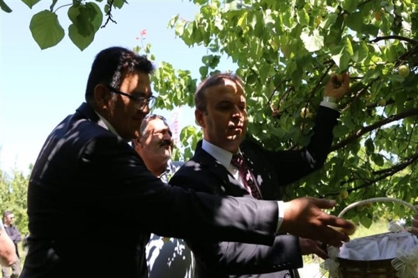 Iğdır'da &Prime;Kayısı Hasat Günleri&Prime; etkinliği düzenlendi
