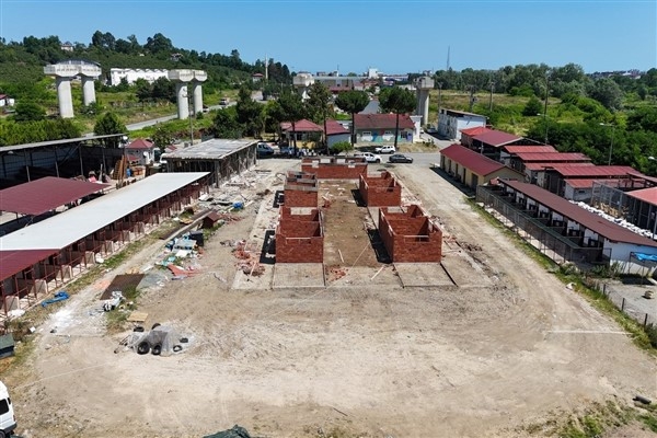 Ordu Büyükşehir'den sokak hayvanlarına modern yaşam alanı