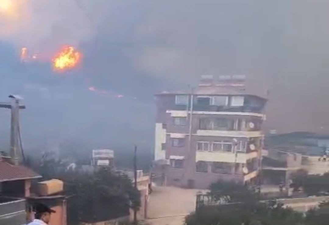 Hatay'daki orman yangınına soruşturma başlatıldı