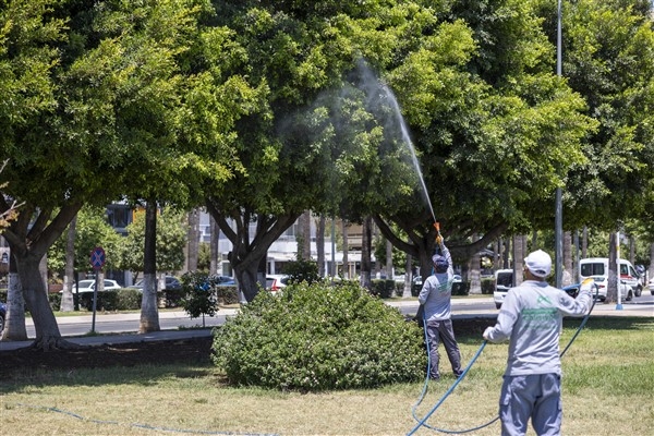 Mersin Büyükşehir Belediyesi'nden ilaçlama çalışmaları