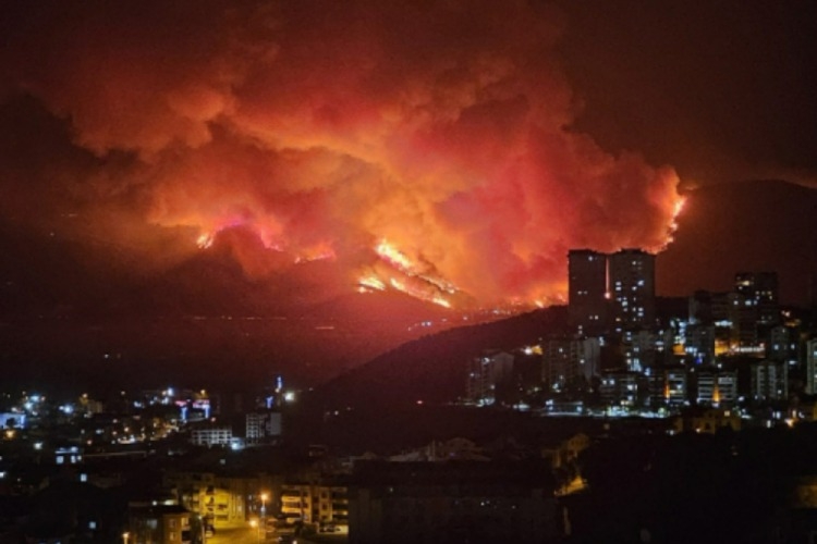 Bursa'daki yangınlarla ilgili son durum