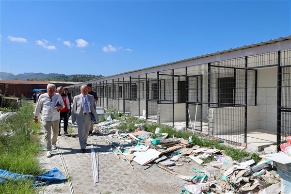 Ordu'da sokak hayvanları için barınak, doğal yaşam alanlarının sayısı artıyor