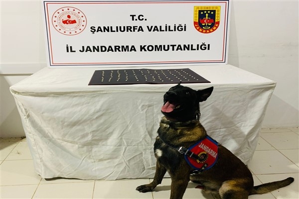 Şanlıurfa'da uyuşturucu operasyonu