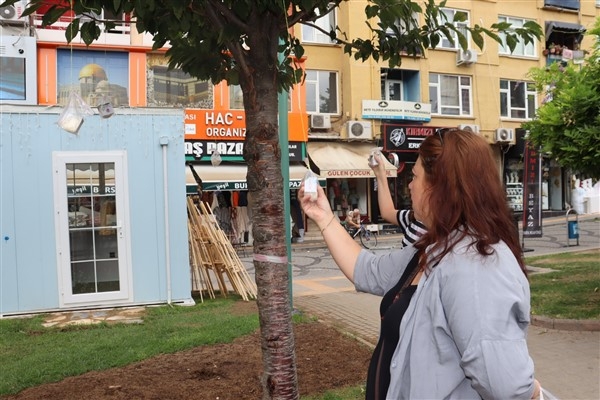 Sabri Yalım Parkı'ndaki ağaçlar pişmaniyeyle süslendi