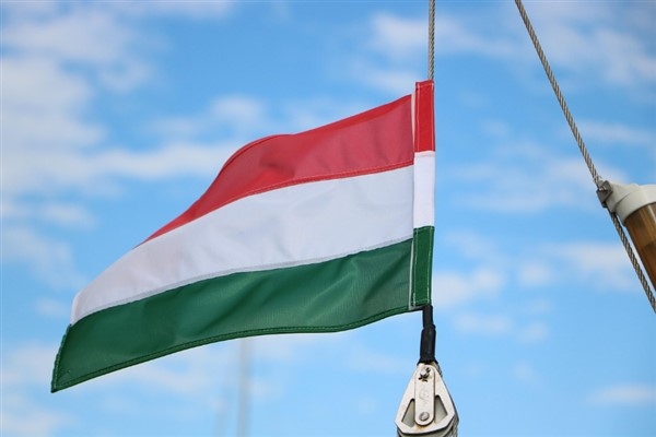 Macaristan’dan Tanzanya’ya bölgesel güvenlik teşekkürü