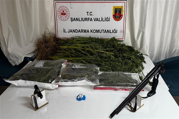 Siverek'te yapılan operasyonda çok sayıda uyuşturucu ve silah ele geçirildi