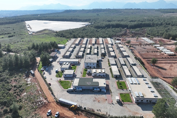 Antalya’da 1 yılda 3 bin 779 hayvanın kısırlaştırma işlemi tamamlandı