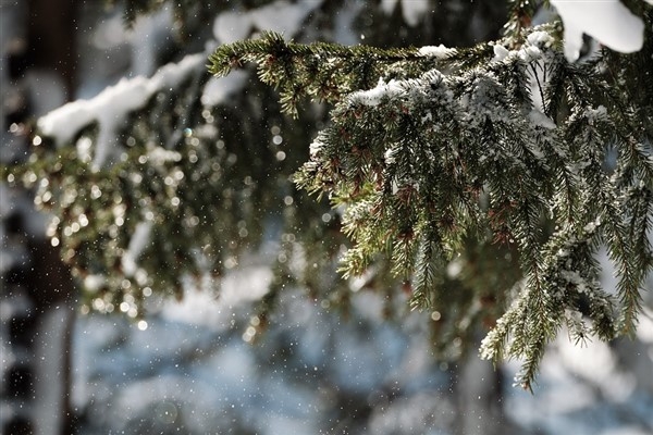 Ordu'da 13 ilçede eğitime 1 gün ara verildi