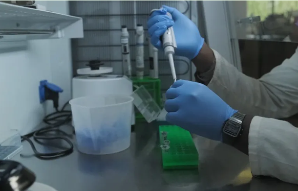Aslan DNA'sı, kaçak avcıların ilk kez mahkum edilmesine yardımcı oldu
