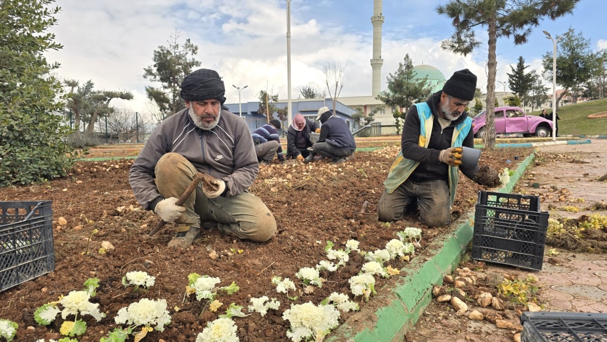 Eyyübiye Yeşil Alanları Bahara Hazırlanıyor