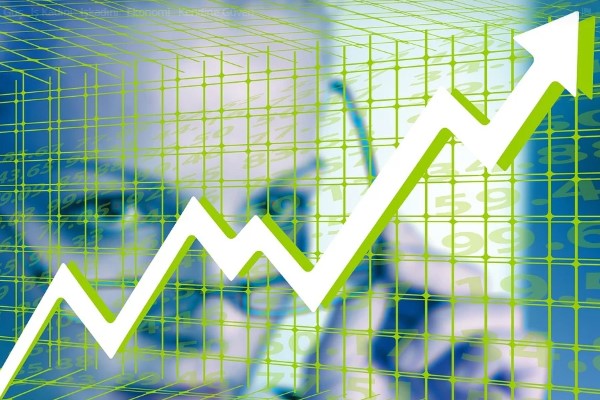 Çelik Motor Ticaret'in 2025 rakamları