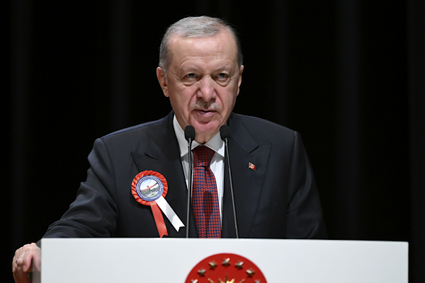 Erdoğan ve Steinmeier’den görüştü