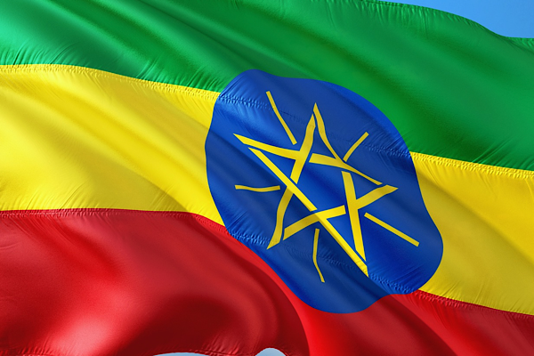 Ali: Ethiopia hızla inşa ediliyor, toplumsal kalkınma temel taşıdır