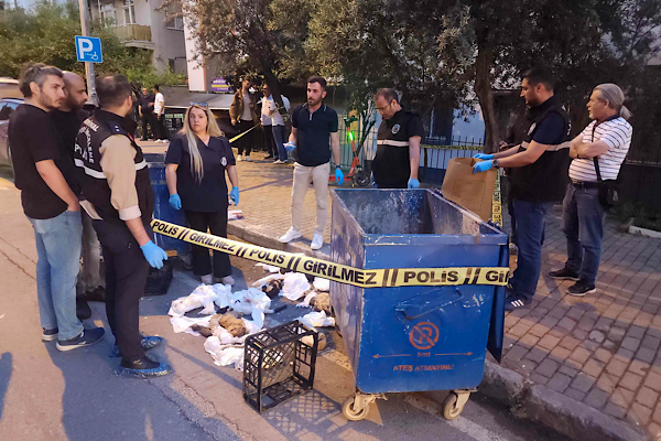 Buca'da konteynerde bulunan hayvan ölüleriyle ilgili inceleme
