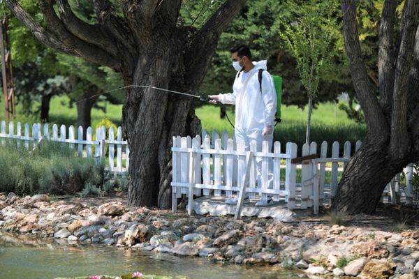 Keçiören'de sinek ve haşerelere karşı 7/24 ilaçlama çalışması