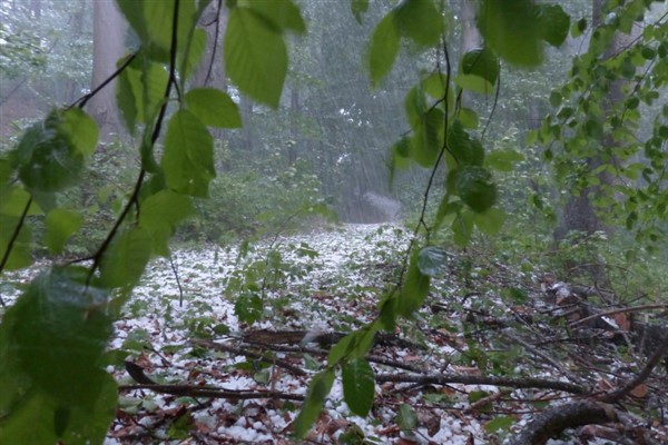 Meteoroloji'den kuvvetli yağış ve rüzgar uyarısı