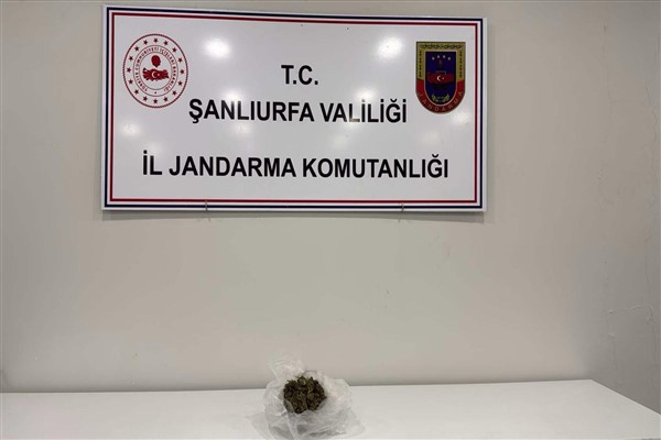 Şanlıurfa'da 100 gram esrar ele geçirildi