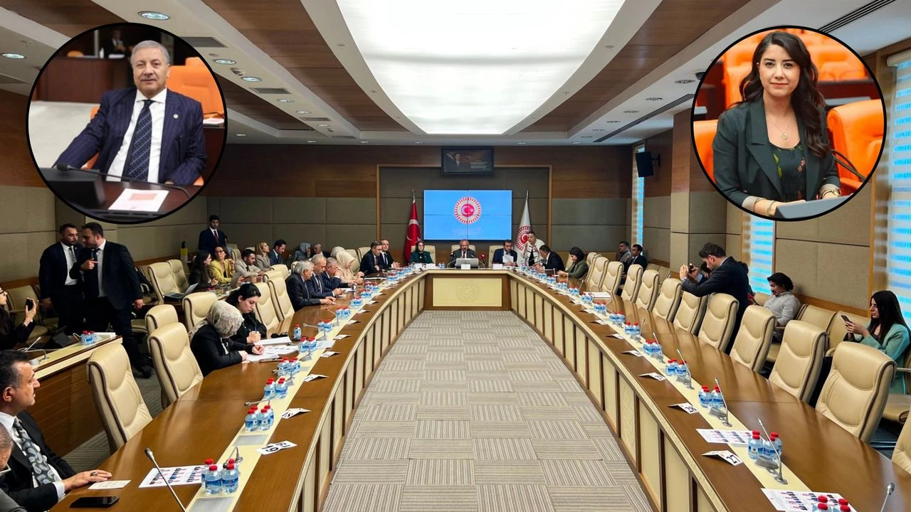 Şanlıurfa milletvekilleri,  Akran Zorbalığı ve Silahlanma Açıklaması