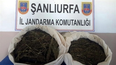 3 İlçede Uyuşturucu ve Sigara Kaçakçılığı Operasyonu