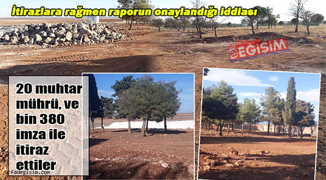 600 dönümlük orman kaldırılacak mı?