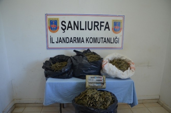 Jandarmadan Hurda Ve Yağlıboya Kaçakçılarına…
