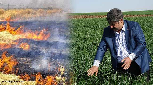 Ahmet Eyyüpoğlundan Ziraat Odasından çiftçilere çağrı