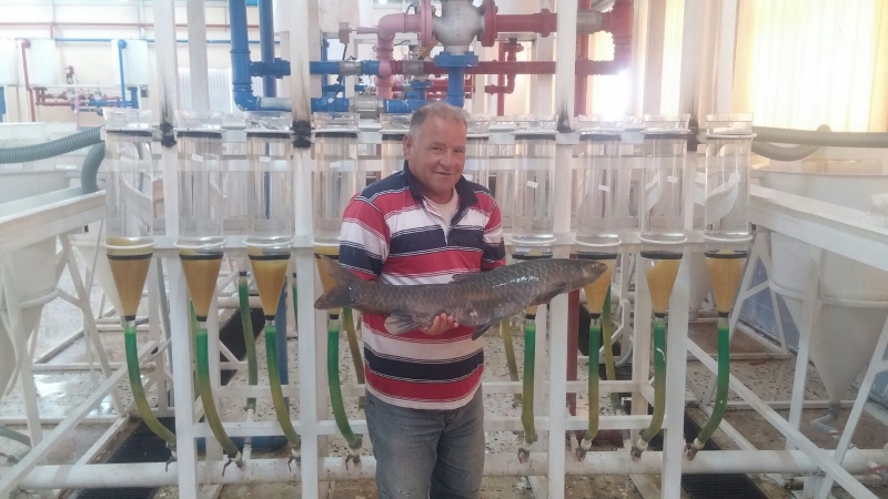 AKDENİZ VE G.DOĞU ANADOLU BÖLGESİNİN BALIKLARI ŞANLIURFA'DAN LU