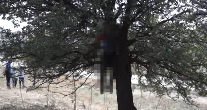 Aydın'da Ağaca Asılı Halde Erkek Cesedi Bulundu