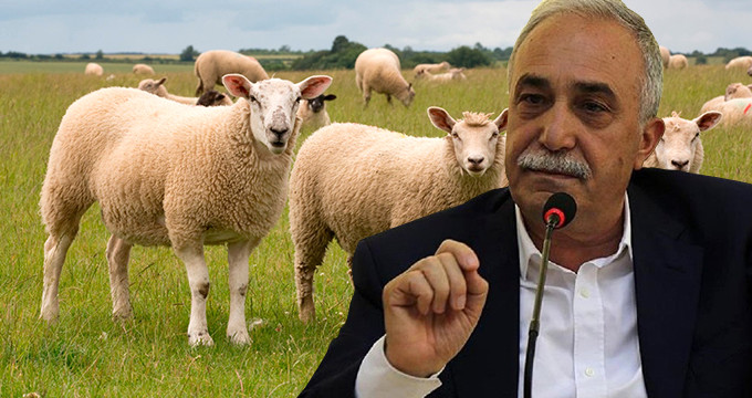 Bakan Fakıbaba: Herkese Bedava 300 Koyun Verilmeyecek!