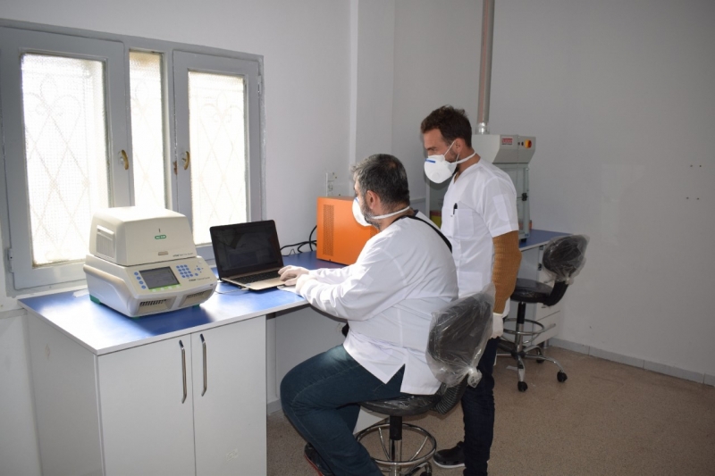 Barış Pınarında PCR Laboratuvarı Kuruldu