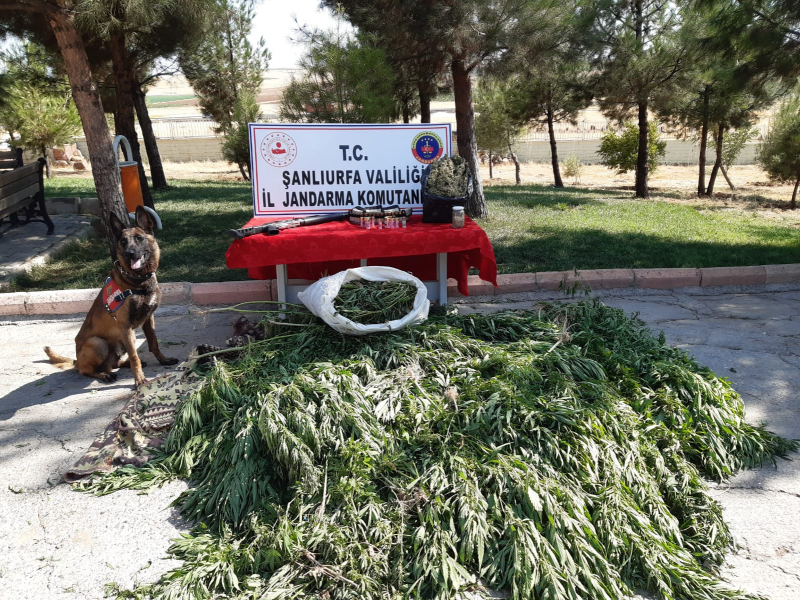 Şanlıurfa İl Jandarma Komutanlığı,