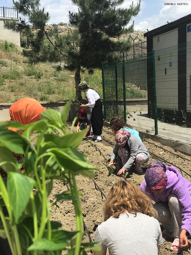 BAŞKAN BEYAZGÜL, HOBİ BAHÇESİ SAKİNLERİNE İSOT FİDESİ DAĞITTI