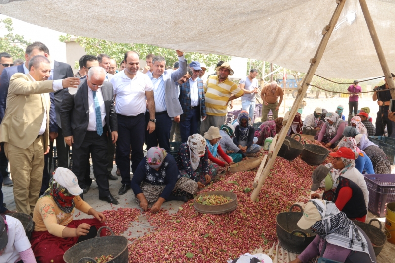  BAŞKAN ÇİFTÇİ, 