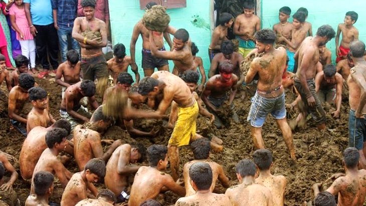 Hindistan'da halk, inek dışkısını yüzlerine sürüp kartopu gibi birbirlerine atarak eğlendi